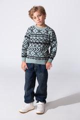 Boy's Printed Slim Fit Jakar Pullover With A Round Neck And Long Sleeves