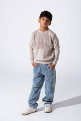 Boy's Slim Fit Cotton Round Neck Long Sleeves Pullover In Breathable Fabric