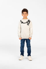 Boy's Printed Sweatshirt With Round Neck And Slim Fit