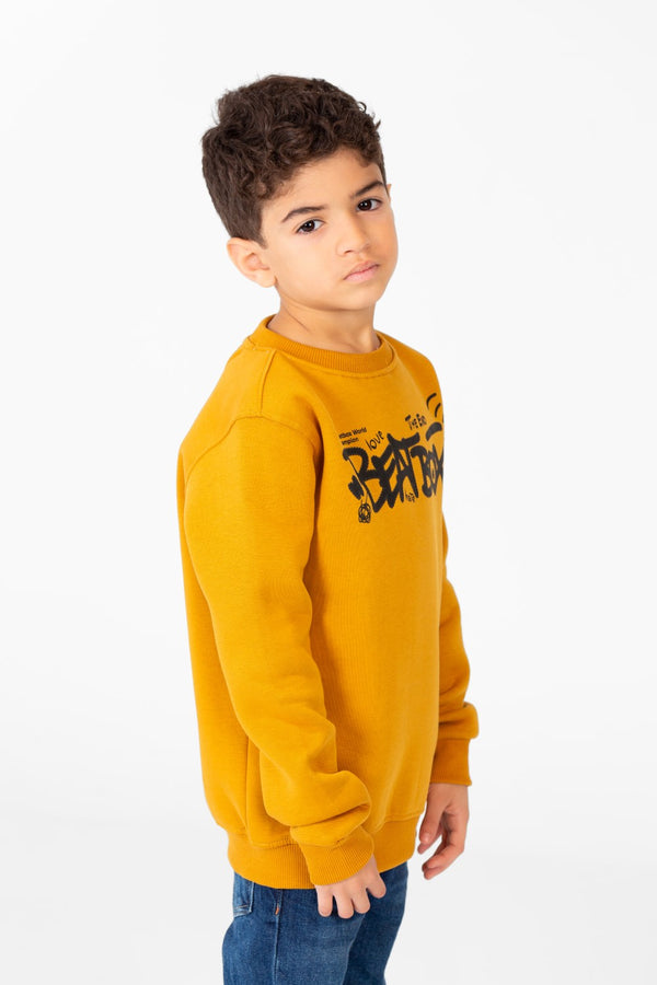 Boy's Printed Sweatshirt With Round Neck And Long Sleeves