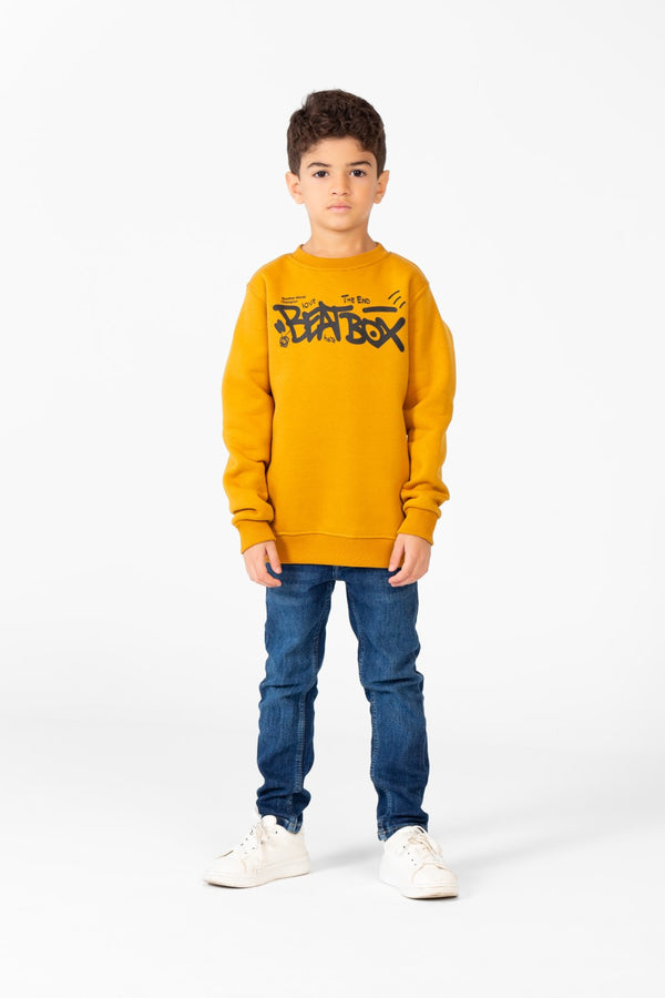 Boy's Printed Sweatshirt With Round Neck And Long Sleeves