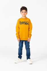 Boy's Printed Sweatshirt With Round Neck And Long Sleeves