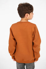 Boy's Round Neck Sweatshirt With Front Graphic Print