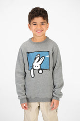 Boy's Long Sleeves Crew Neck Sweatshirt With Front Print