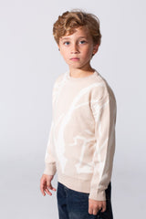 Boy's Printed Slim Fit Pullover With A Round Neck And Long Sleeves