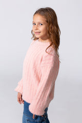 Girl's Basic Plain Pullover With A Round Neck And Long Sleeves