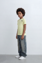 Boy's Tomato Store Basic Graphic T-Shirt Mini Dino Chest Print Slim Fit