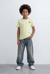 Boy's Tomato Store Basic Graphic T-Shirt Mini Dino Chest Print Slim Fit