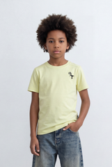 Boy's Tomato Store Basic Graphic T-Shirt Mini Dino Chest Print Slim Fit