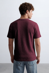 Men’s Tomato Store Knit Texture Open Weave Surface Breathable Elevated Everyday T-Shirt Short Sleevs Round Neck
