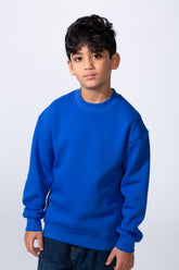 Boy's High Neck Slim Fit Basic Long Sleeve Daily Wear Sweatshirt