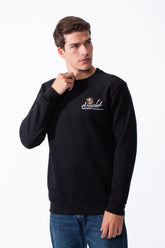 Men's Crewneck Sweatshirt With Playful Pack Embroidery Long Sleeves Slim Fit Everyday Wear Sweatshirt