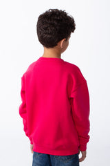 Boy's Modern Crew Neckline Long Sleeves With Ribbed Cuffs Graphic Print Practicality Casual Oversize Melton Sweatshirt