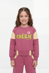 Girl's Two-Piece Set Vibrant Color Block Design Crew Neck Playful Graphic Print Cozy Warmth Trendy Slim Fit Melton Outfit