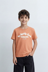 Boy’s Tomato Store Heritage Goods T-Shirt Retro Arch Tomato Chest Typography With Since 1994 Badge Clean Plain