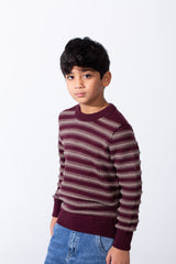 Boy’s Knitted Slim Fit Crew Neck Striped Long Sleeves Pullover