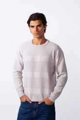 Men's Slim Fit Striped Round Neck Pullover