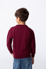 Boy's Round Neck Slim Fit Breathable Fabric Pullover