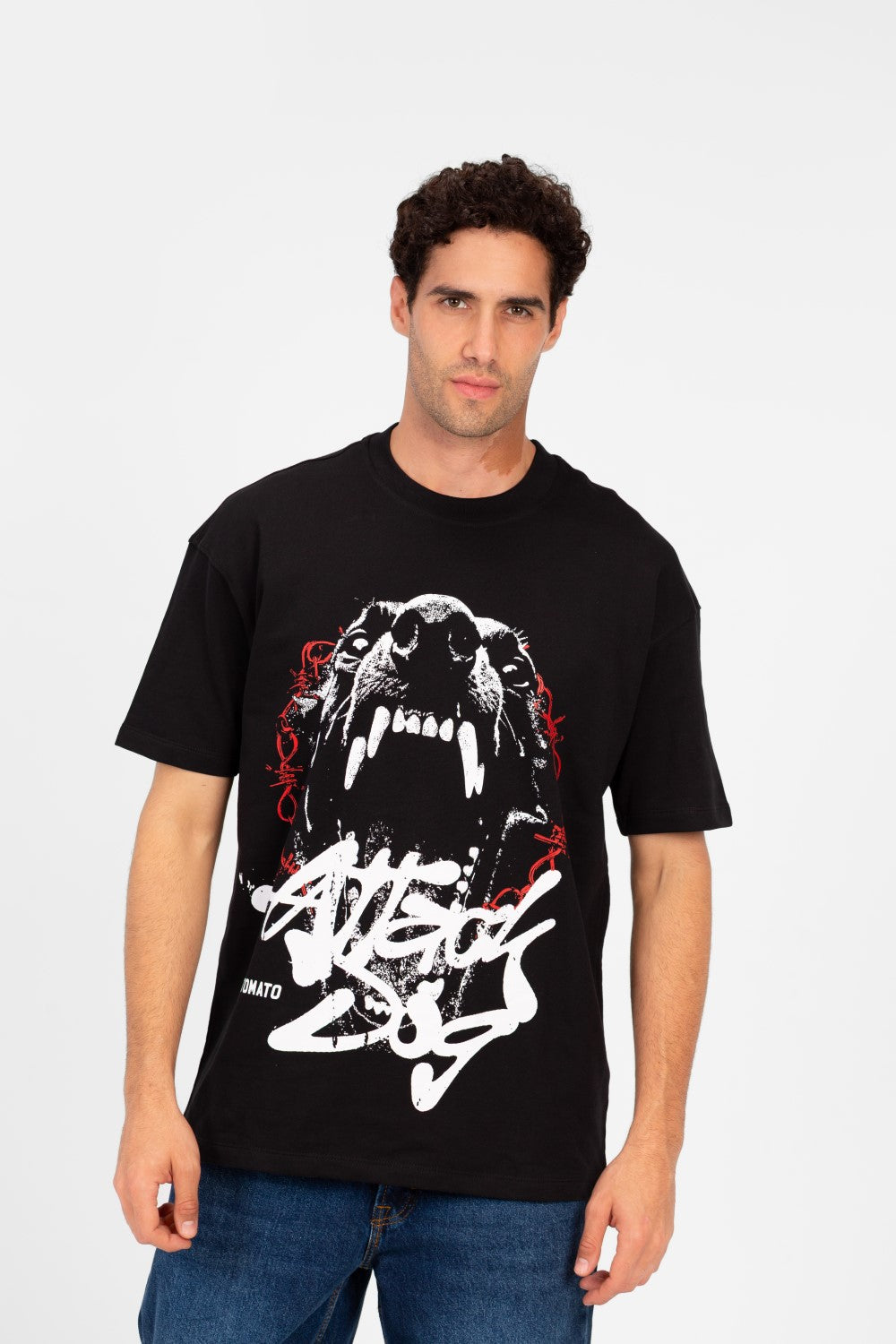 Men's Tomato Front Print Regular Fit High Quality Melton T-Shirt