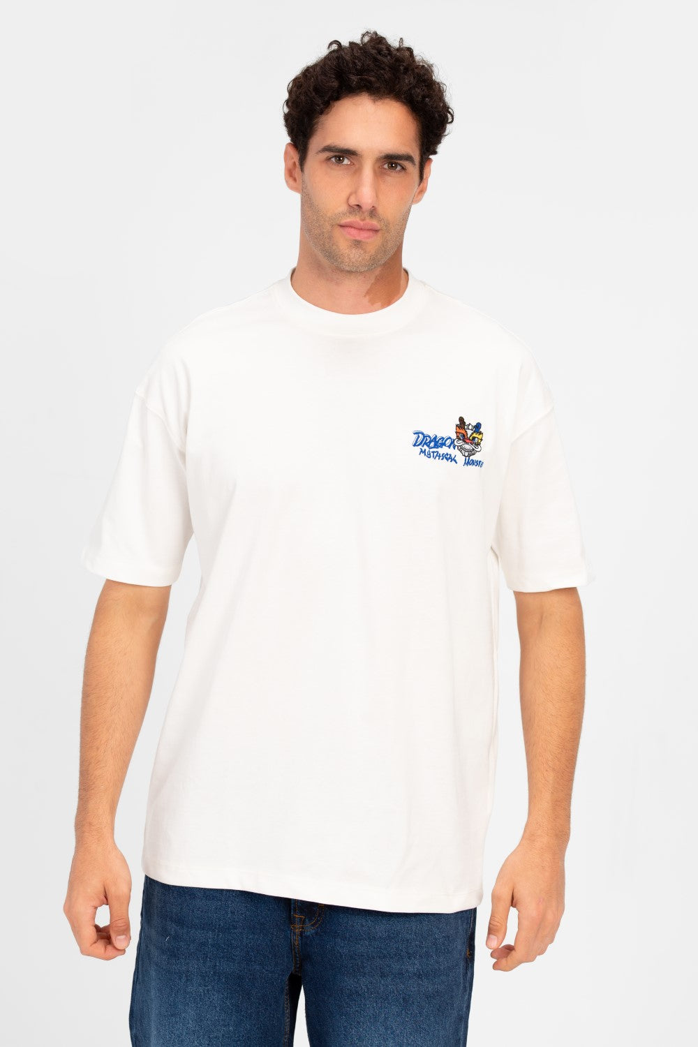 Men's Round Neck Printed Regular Fit Half Sleeve T-Shirt