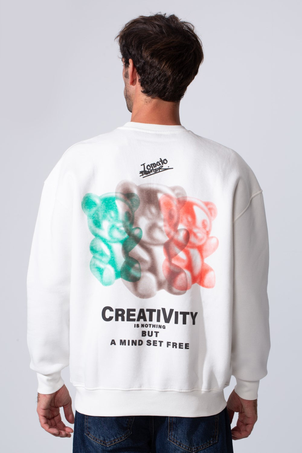 Men's Printed Regular Fit Round Neck Melton Cotton Sweatshirt