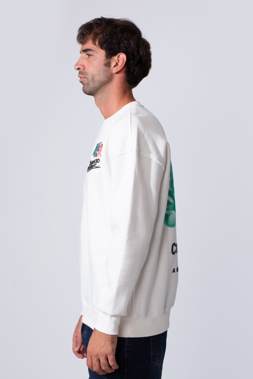 Men's Printed Regular Fit Round Neck Melton Cotton Sweatshirt