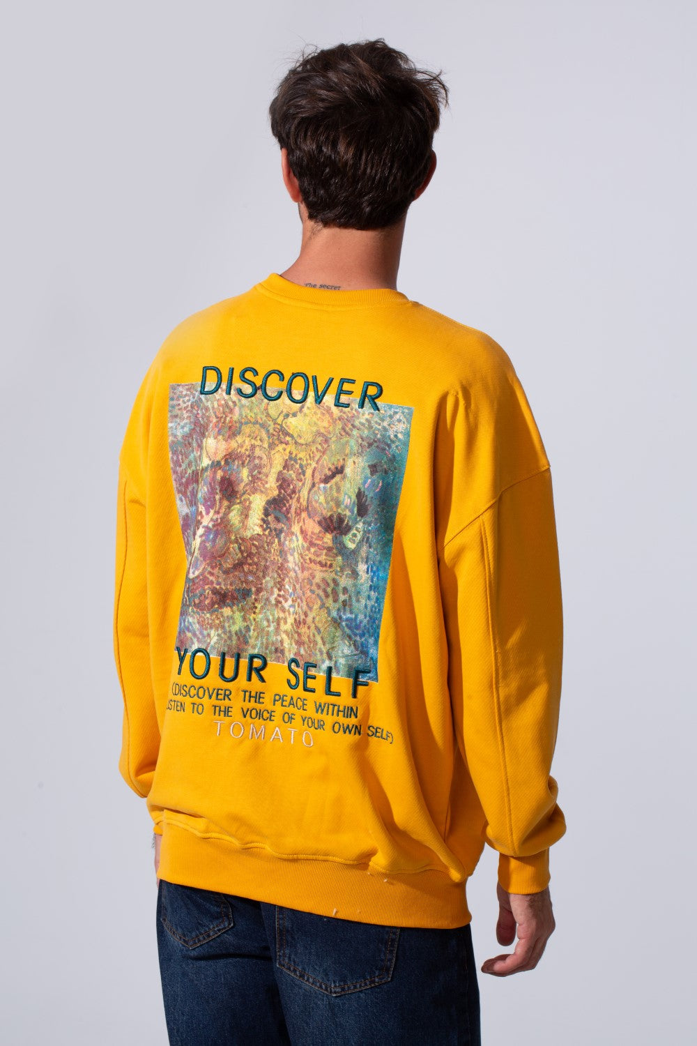 Men's Regular Fit Melton Sweatshirt With Graphic Print And Crew Neck