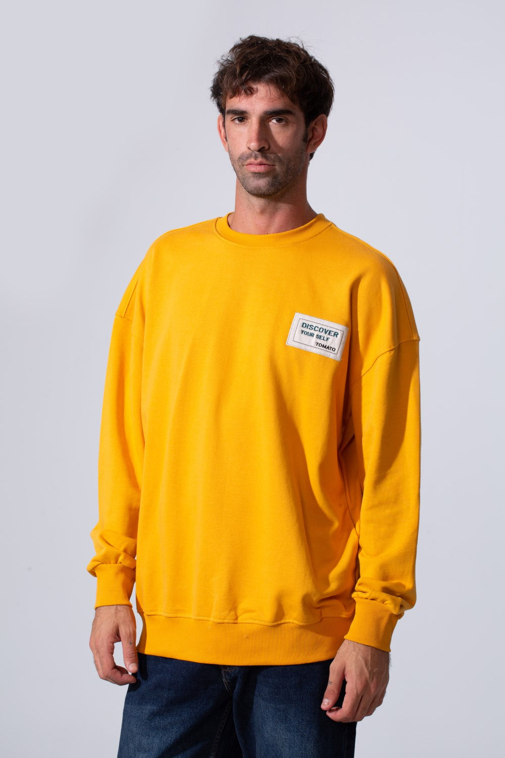 Men's Regular Fit Melton Sweatshirt With Graphic Print And Crew Neck