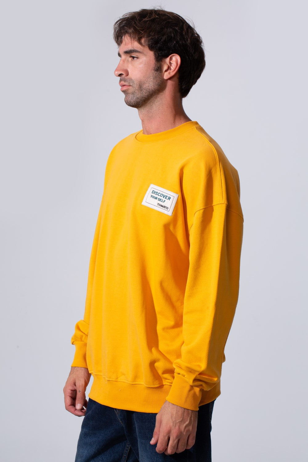Men's Regular Fit Melton Sweatshirt With Graphic Print And Crew Neck