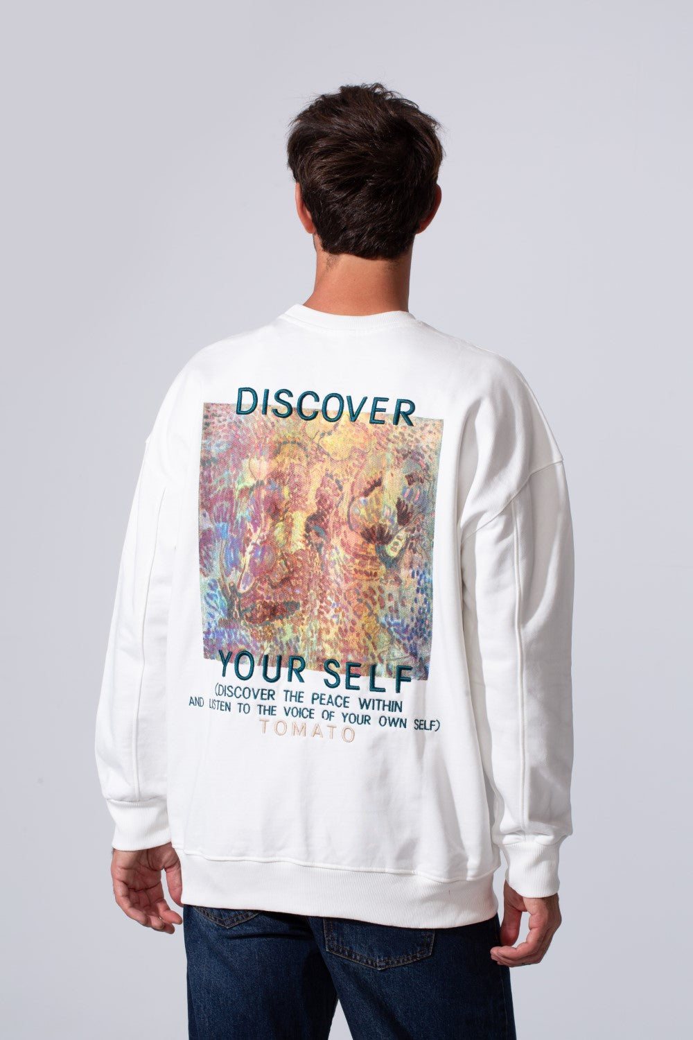 Men's Regular Fit Melton Sweatshirt With Graphic Print And Crew Neck