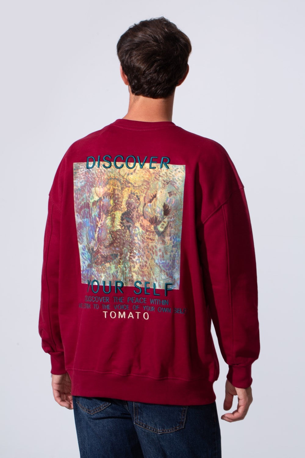Men's Regular Fit Melton Sweatshirt With Graphic Print And Crew Neck