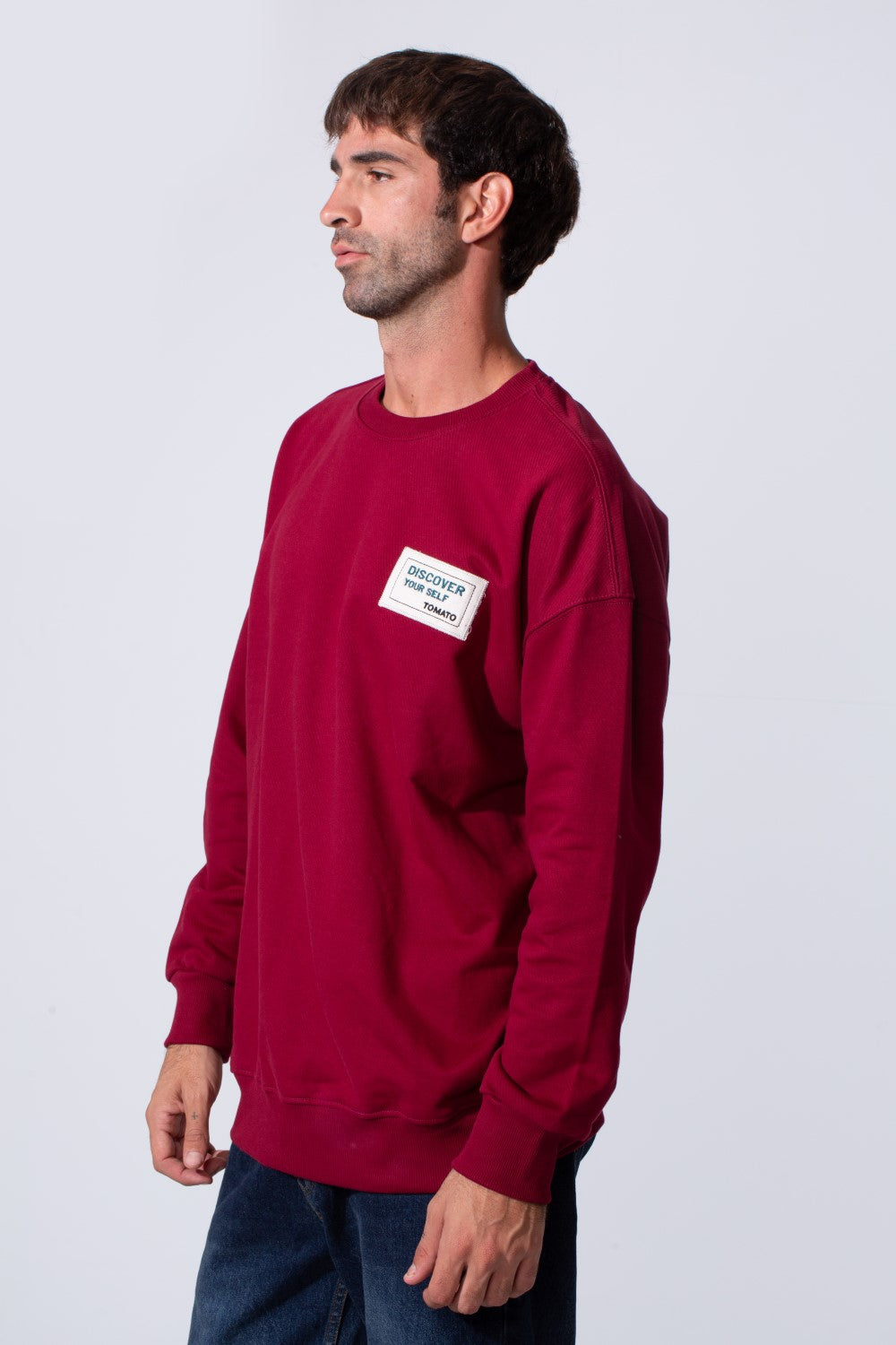 Men's Regular Fit Melton Sweatshirt With Graphic Print And Crew Neck