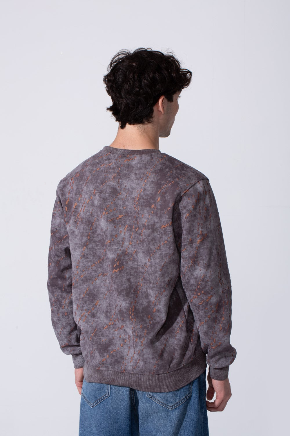 Men's Milton Regular Fit Long Sleeves All Over Print Washed Sweatshirt