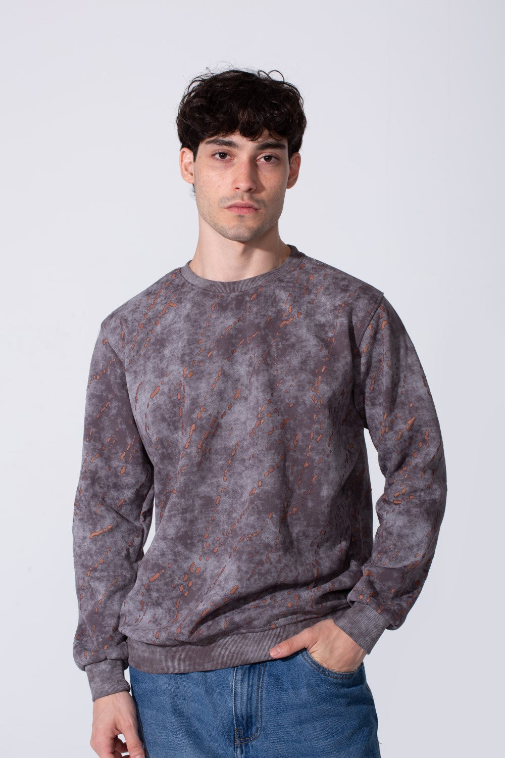 Men's Milton Regular Fit Long Sleeves All Over Print Washed Sweatshirt
