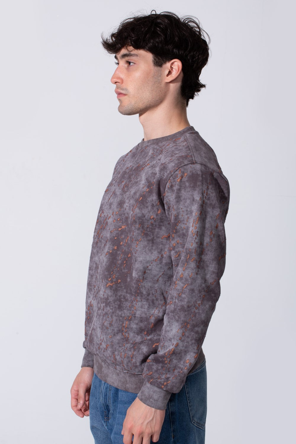 Men's Milton Regular Fit Long Sleeves All Over Print Washed Sweatshirt