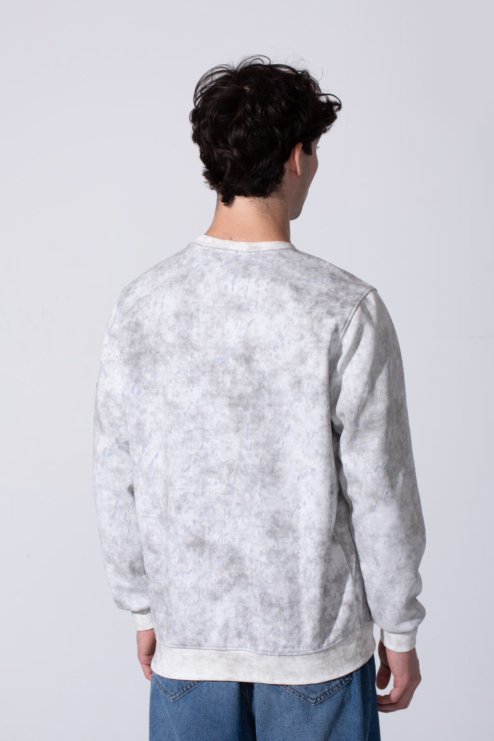 Men's Milton Regular Fit Long Sleeves All Over Print Washed Sweatshirt