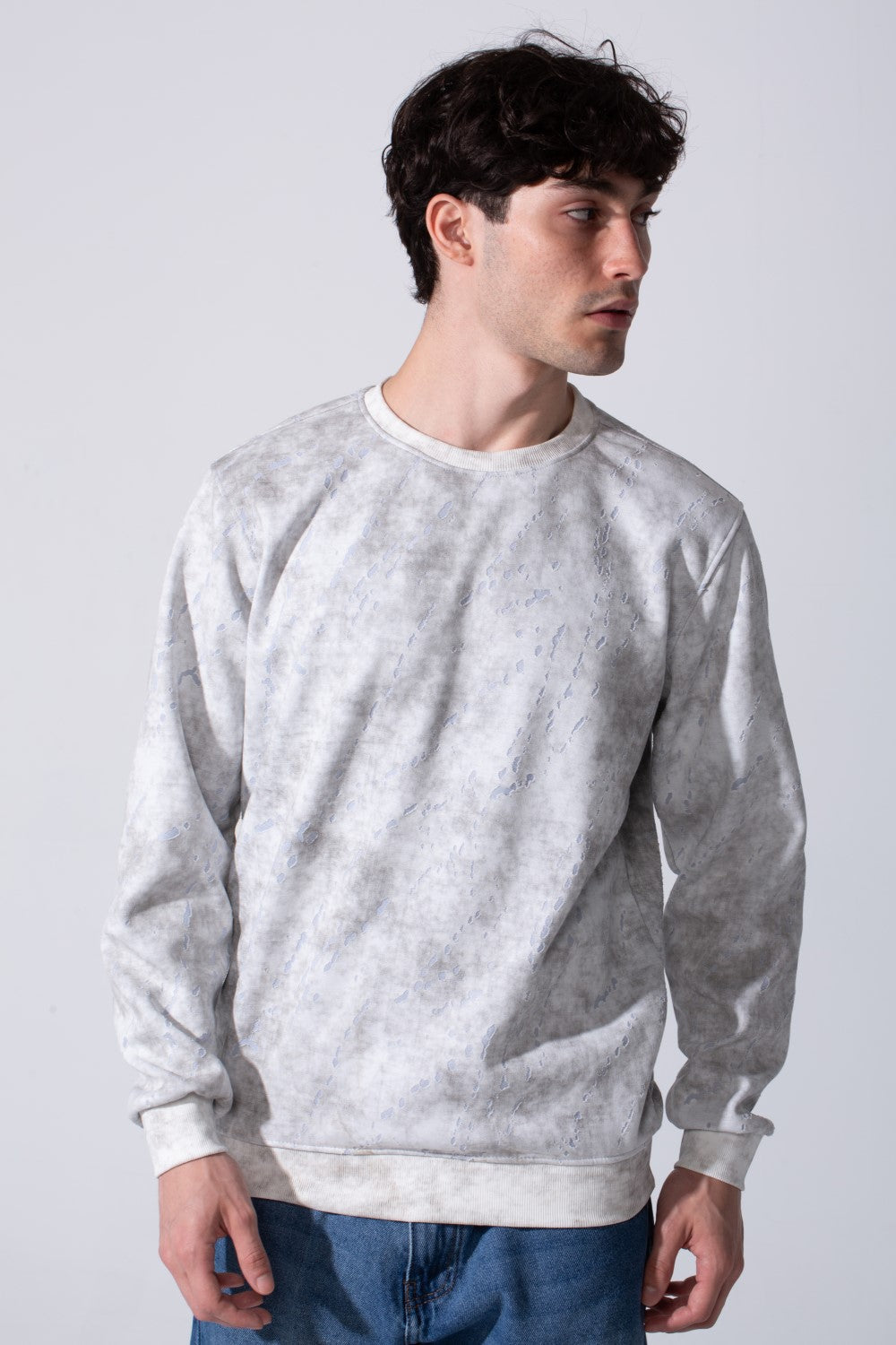 Men's Milton Regular Fit Long Sleeves All Over Print Washed Sweatshirt