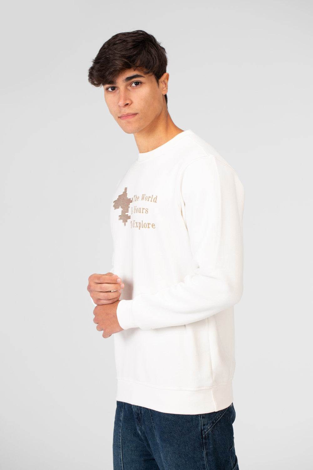 Men's Graphic Print Crew Neck Sweatshirt