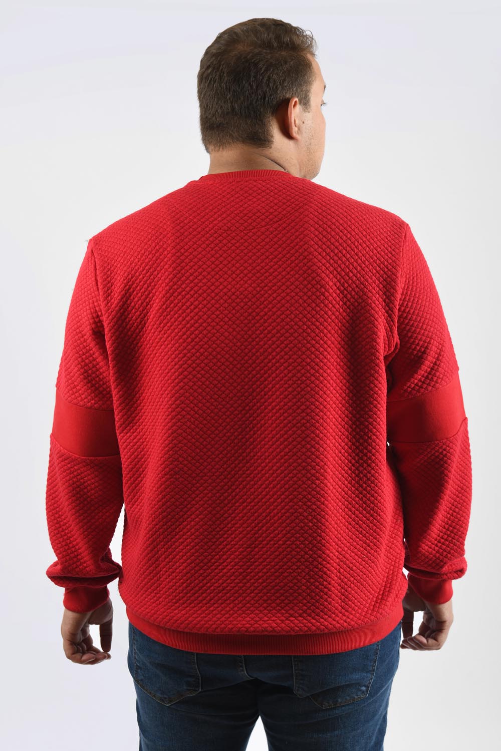 Men's Front Chest Printed Long Sleeve Rounded Neck Big Size Sweatshirt