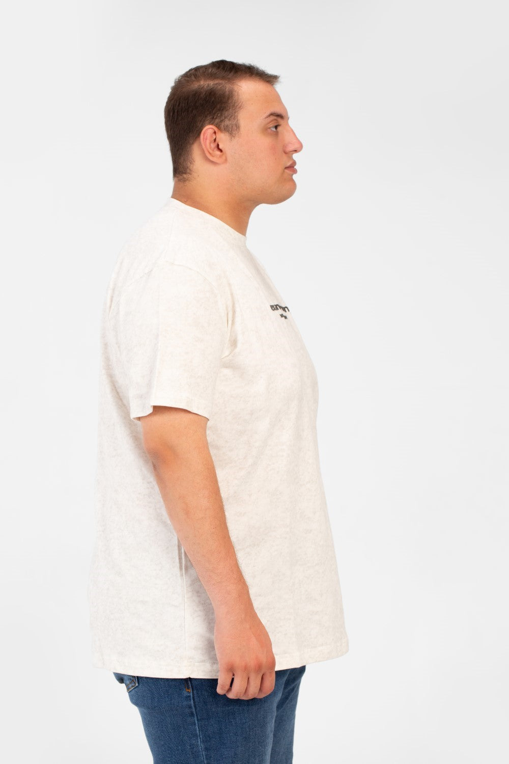 Men's Big Size Round Neck Half Sleeves T-shirt With A Full Print