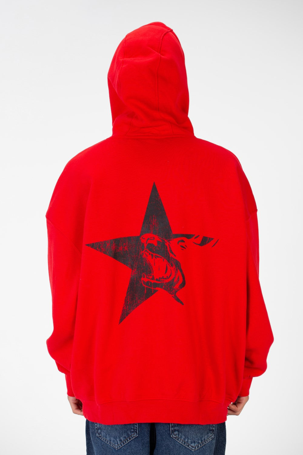 Men's Regular Fit Hooded Sweatshirt Made Of Melton Material