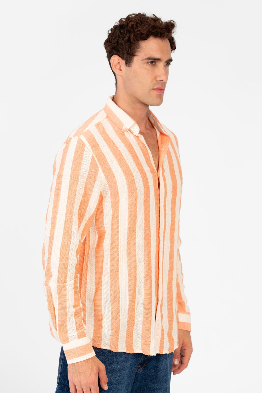 Men's Striped Regular Fit Long Sleeve Shirt