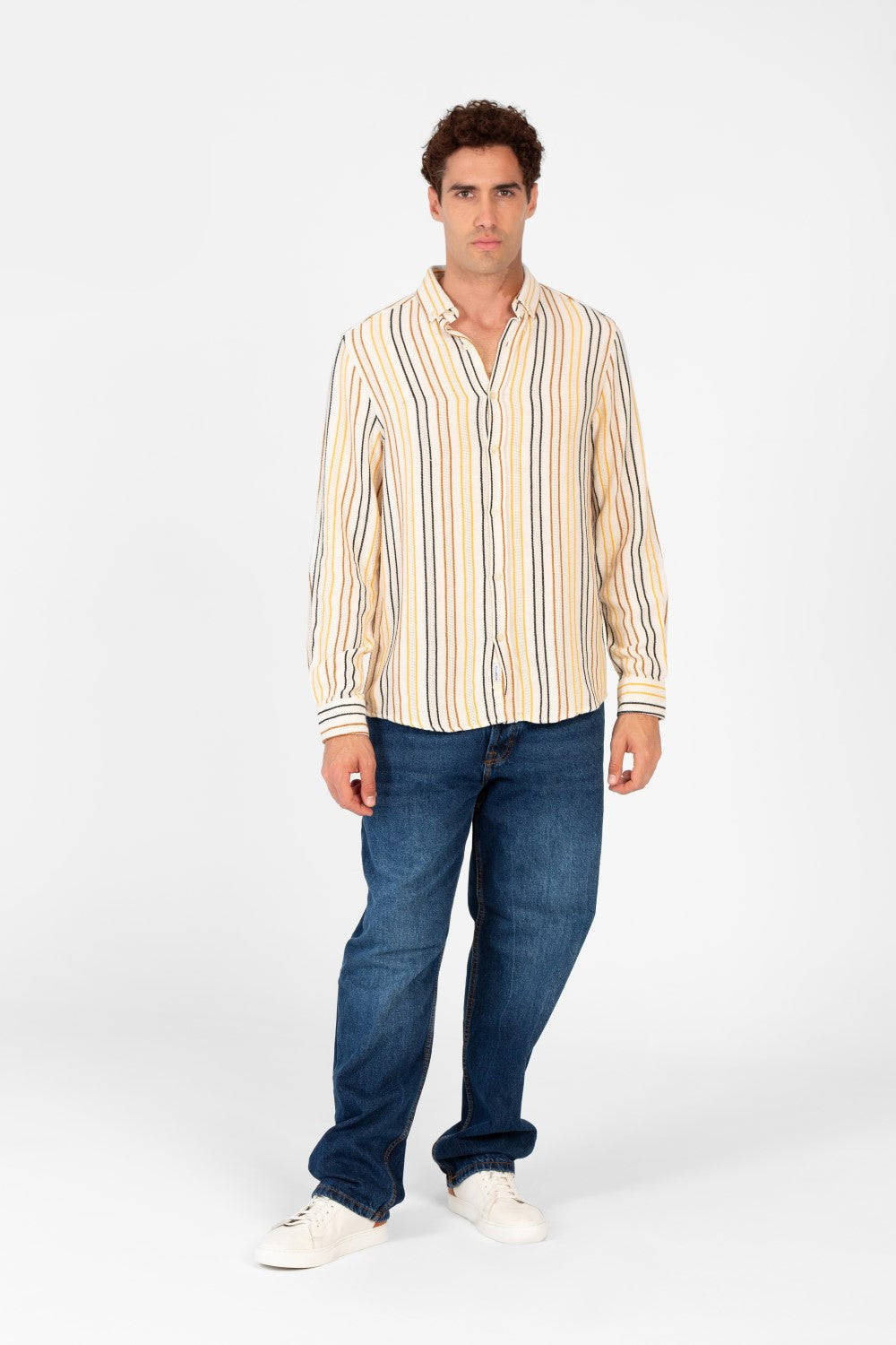 Men's Striped Regular Fit Long Sleeves Shirt
