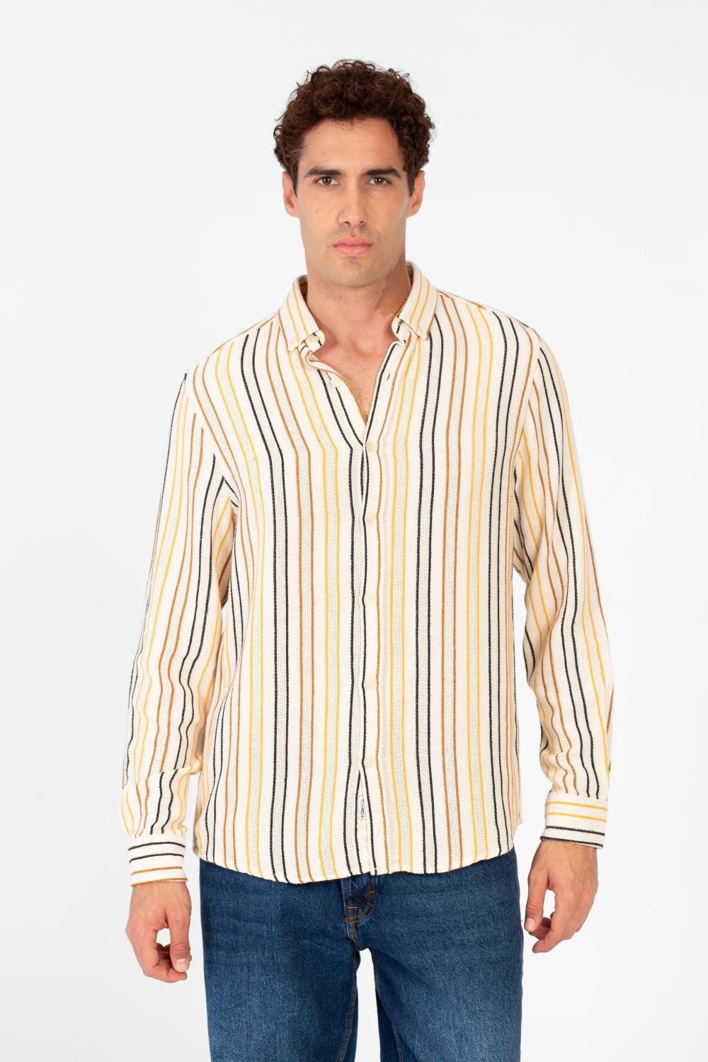 Men's Striped Regular Fit Long Sleeves Shirt