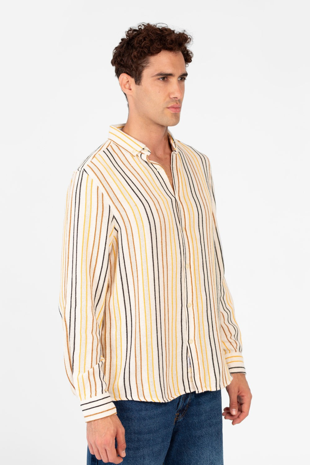 Men's Striped Regular Fit Long Sleeves Shirt