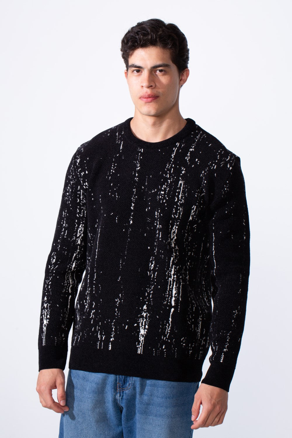 Men's Crew Neck Printed Long Sleeve Slim Fit Knit Pullover