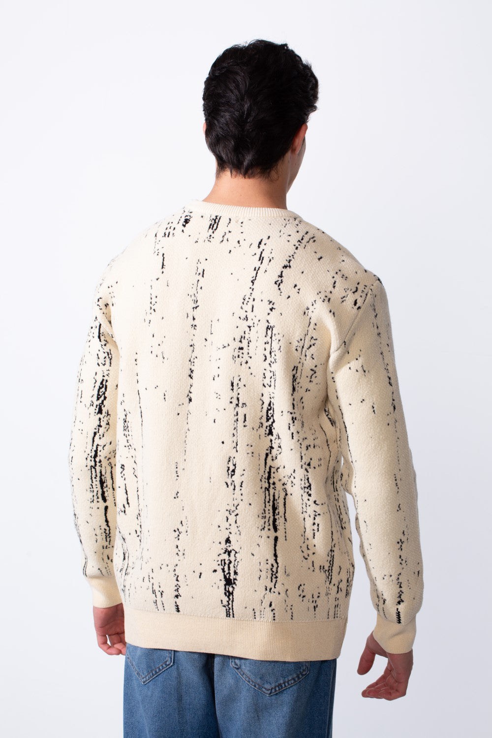 Men's Crew Neck Printed Long Sleeve Slim Fit Knit Pullover