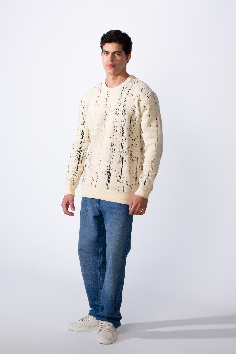 Men's Crew Neck Printed Long Sleeve Slim Fit Knit Pullover