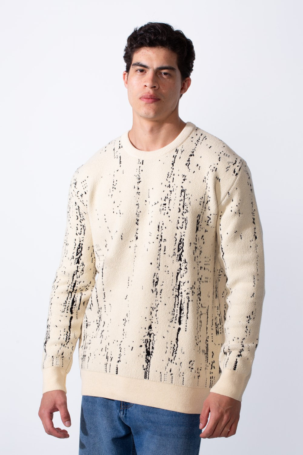 Men's Crew Neck Printed Long Sleeve Slim Fit Knit Pullover