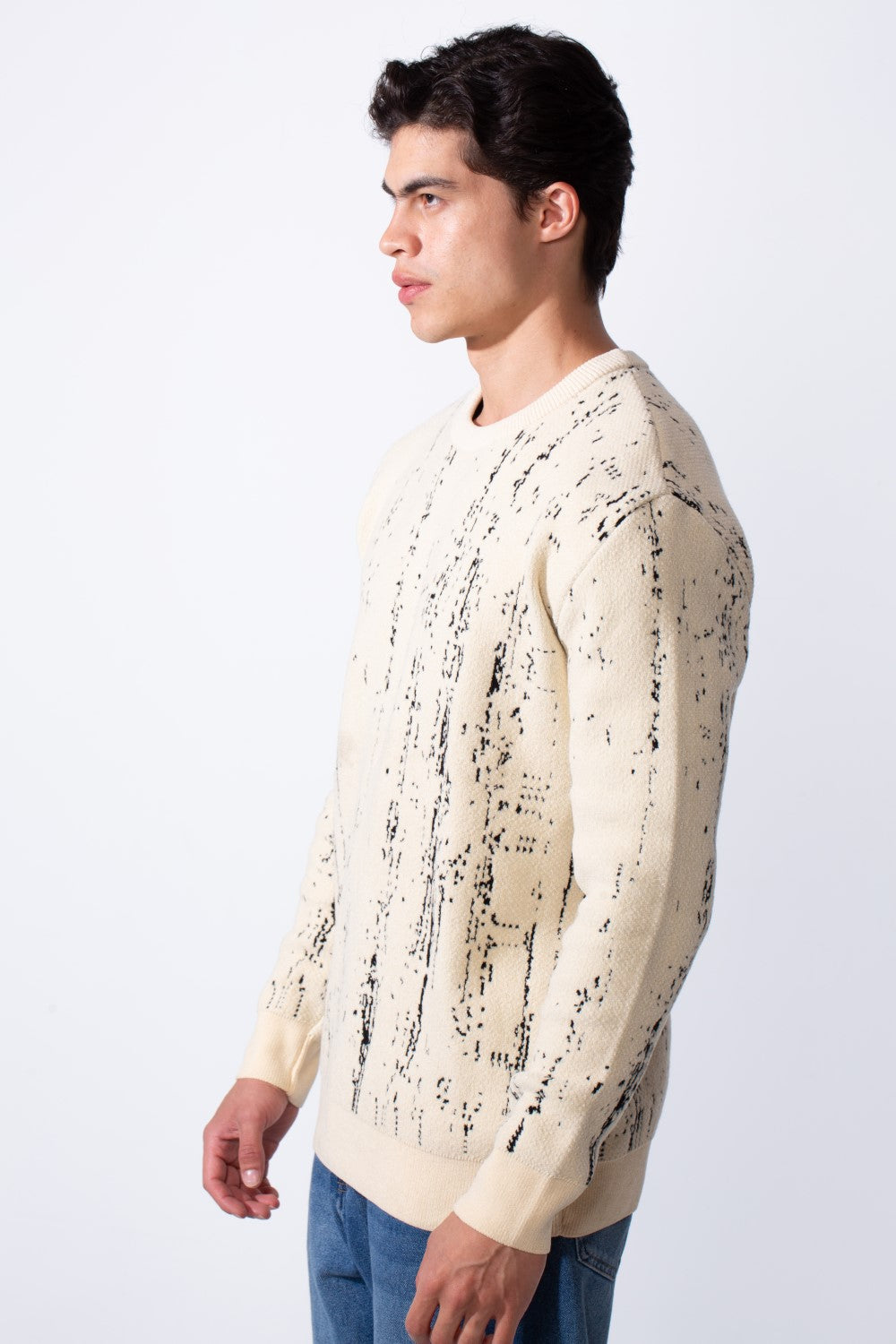 Men's Crew Neck Printed Long Sleeve Slim Fit Knit Pullover